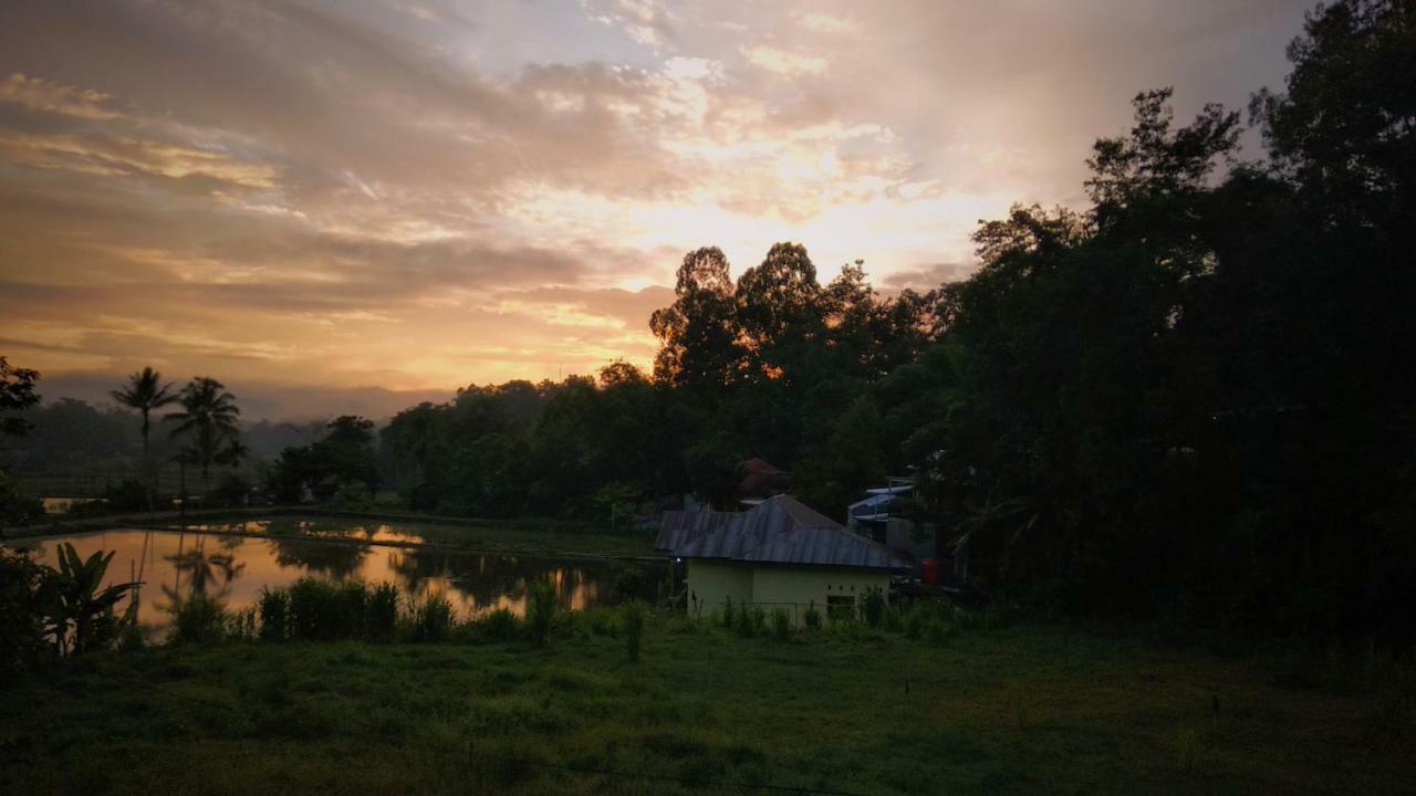 Mama Tia Family Homestay Рантепао Екстериор снимка